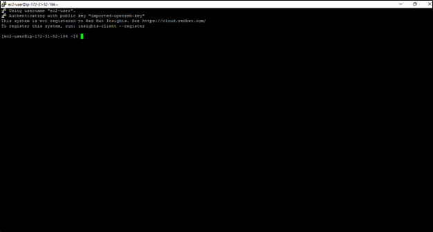 EC2 instance launch with Linux OS