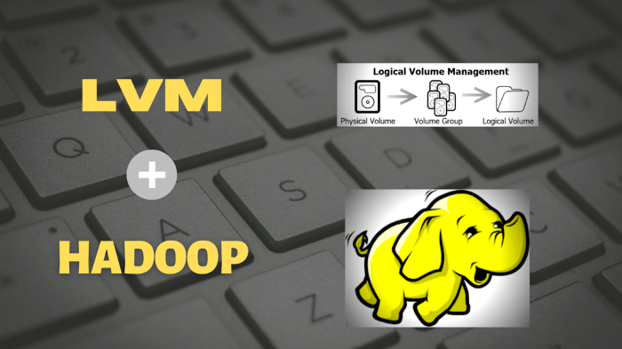 Elastic Storage in Hadoop using Logical Volume&nbsp;Management